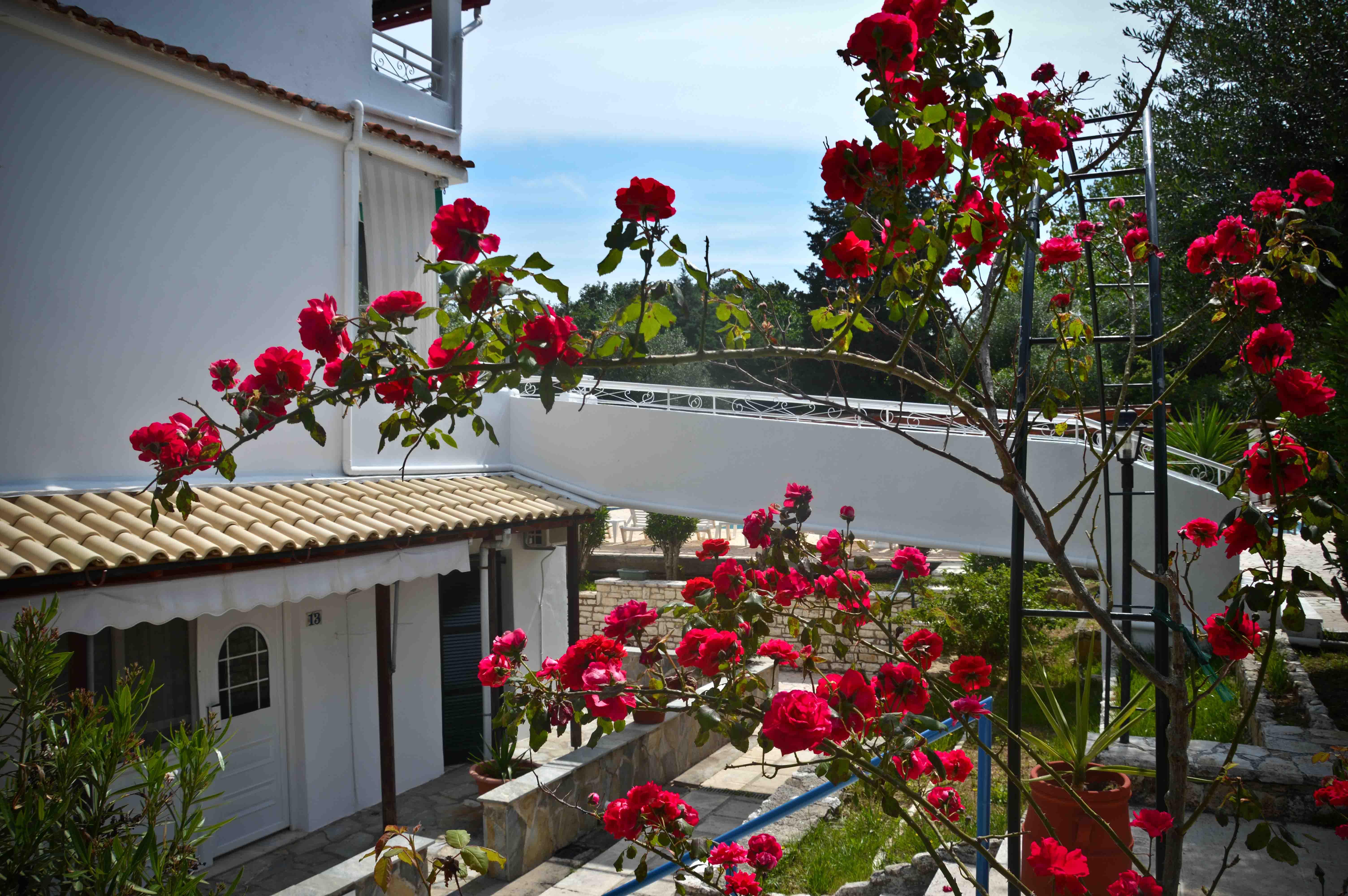 Katia Beach Hotel Kassiopi Exterior photo